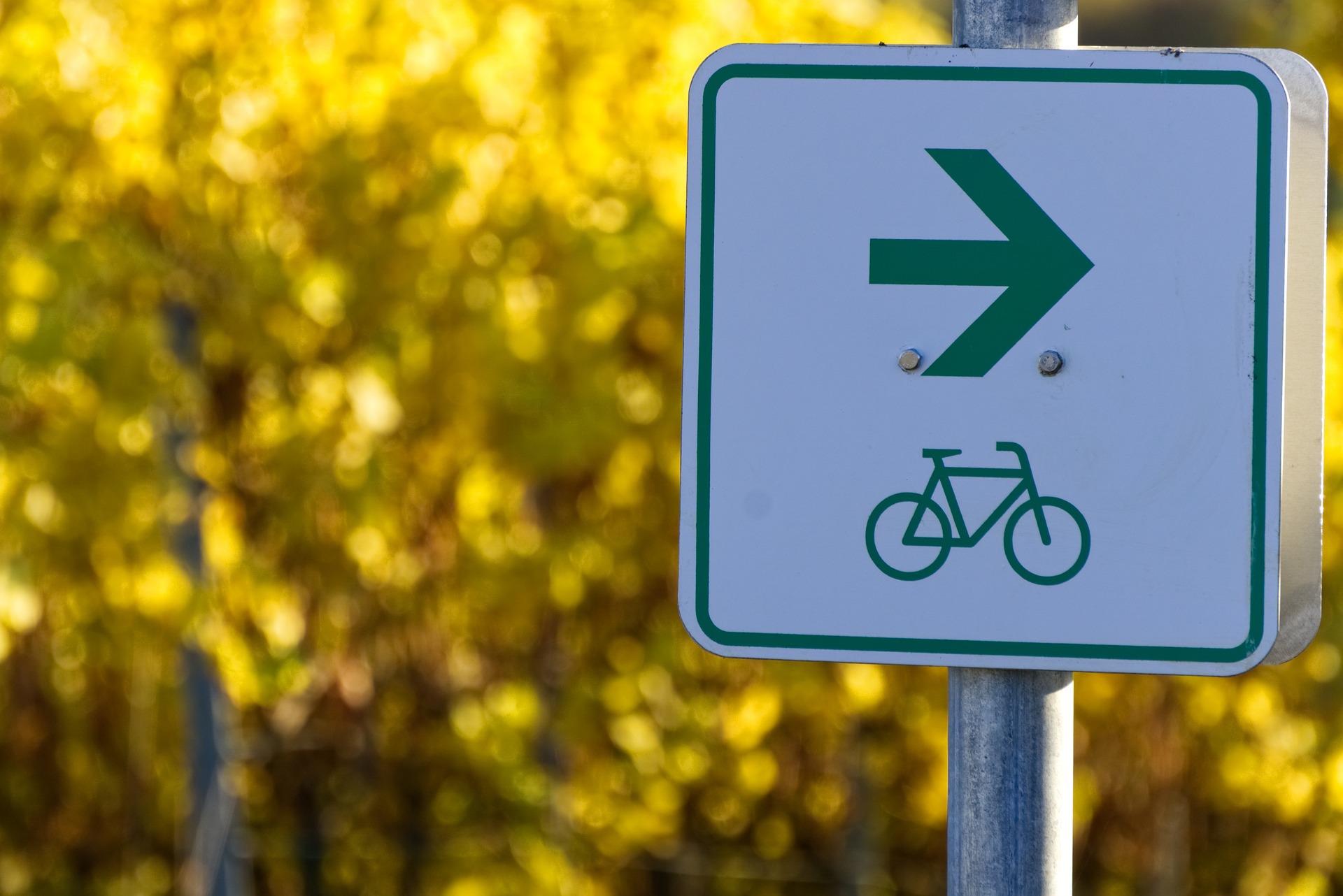 Schild "Radweg" im Grünen